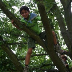 IMG 1083  Medium - Scouts en Gidsen Zaventem 